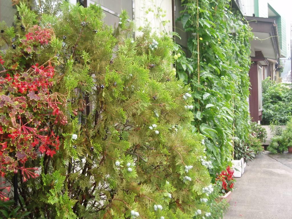 Shinazawa 호텔 노자와 온천 외부 사진